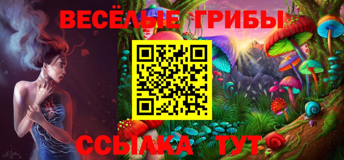 Камышлов  Псилоцибиновые грибы Magic Shrooms  Вход с VPN 