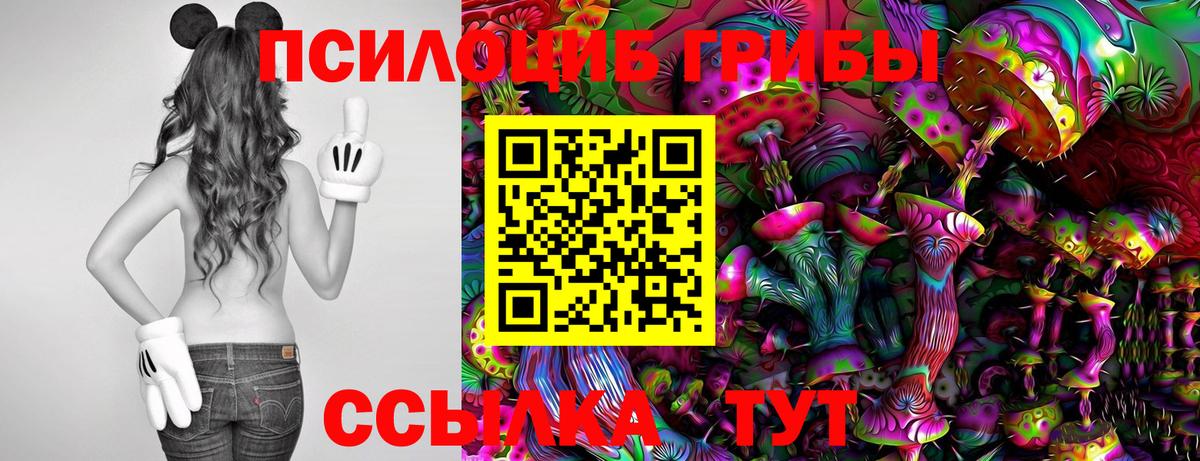Галлюциногенные грибы мухоморы Камышлов
